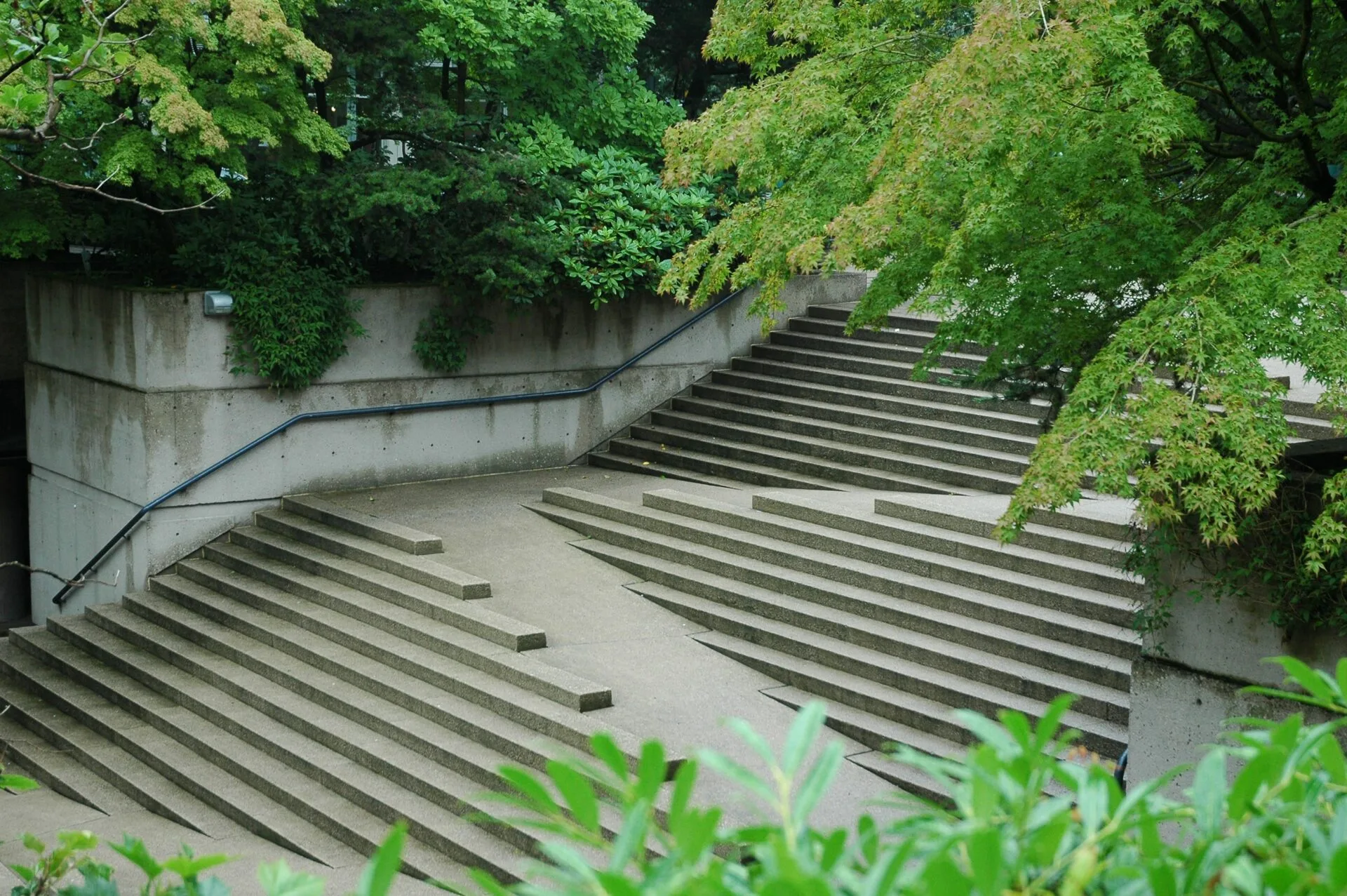 Empowering Every Learner: The Importance of Accessibility in Assessment
